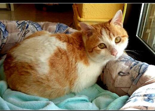 multimedia-foto47566-380-1