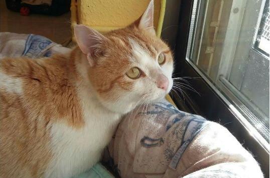 multimedia-foto47567-380-1