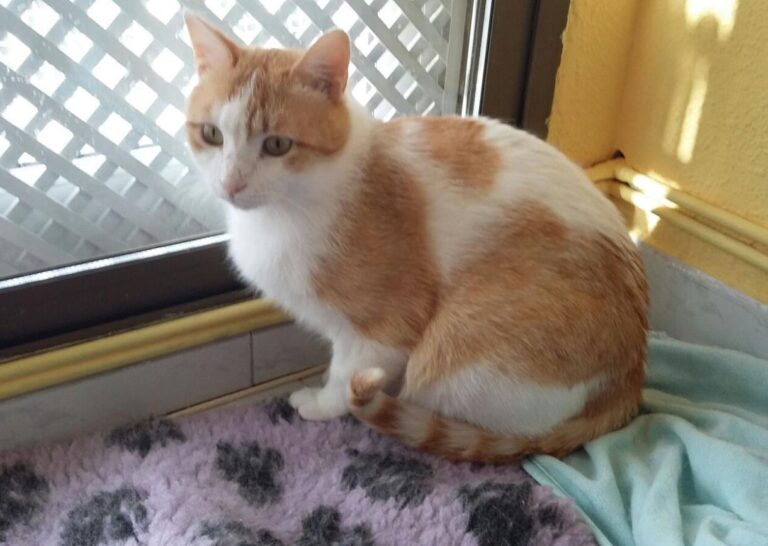 multimedia-foto47568-380-1