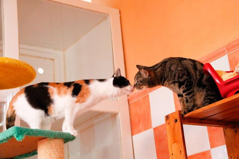 multimedia-foto47581-280-3