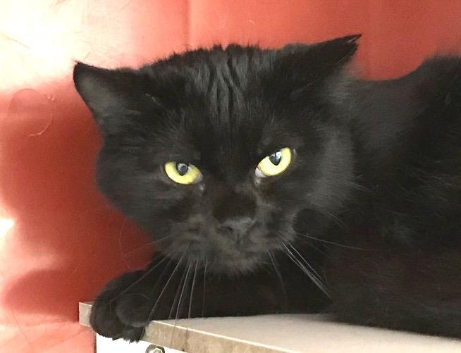 multimedia-foto47596-516-1