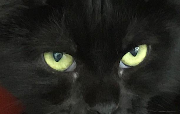 multimedia-foto47598-516-1