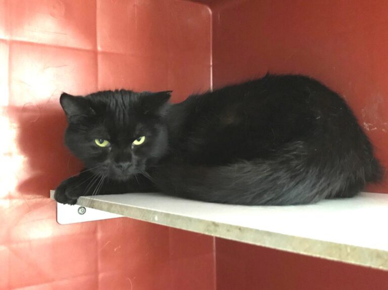 multimedia-foto47600-517-1