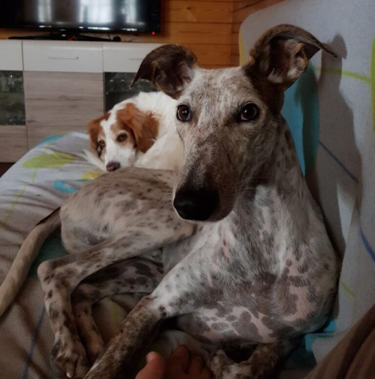 multimedia-foto47604-300-3