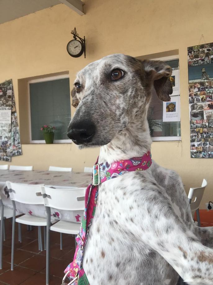 multimedia-foto47605-300-3