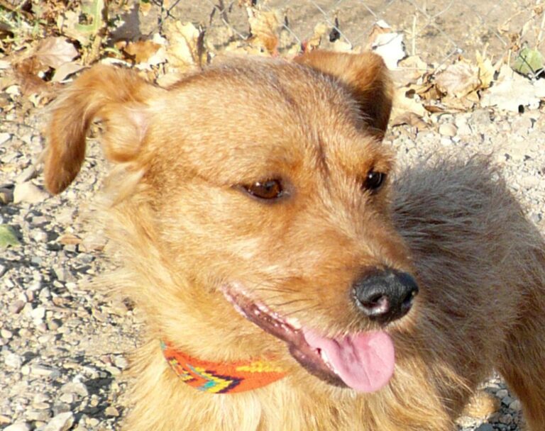 multimedia-foto47606-14-1