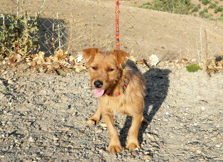 multimedia-foto47607-14-1