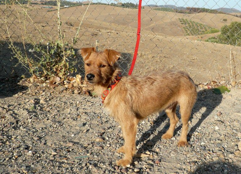 multimedia-foto47608-14-1