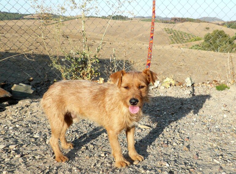 multimedia-foto47610-15-1