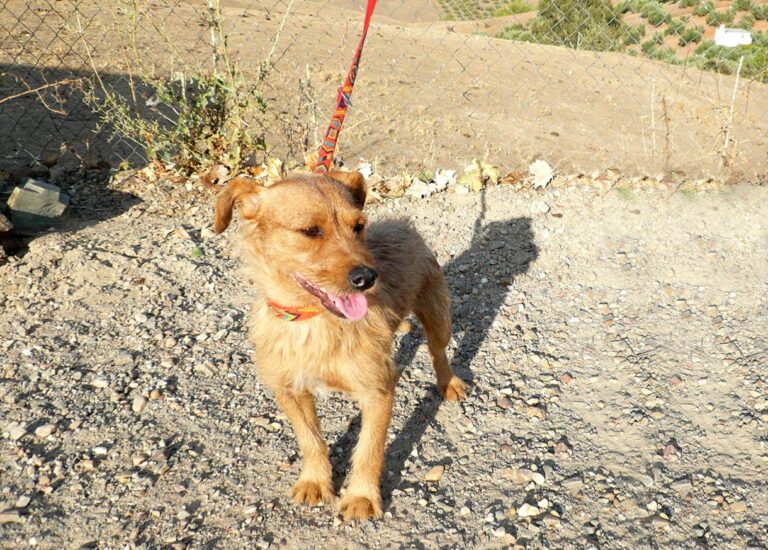 multimedia-foto47611-15-1