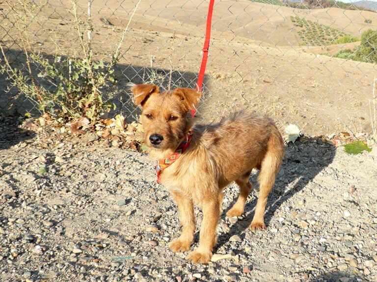 multimedia-foto47612-15-1