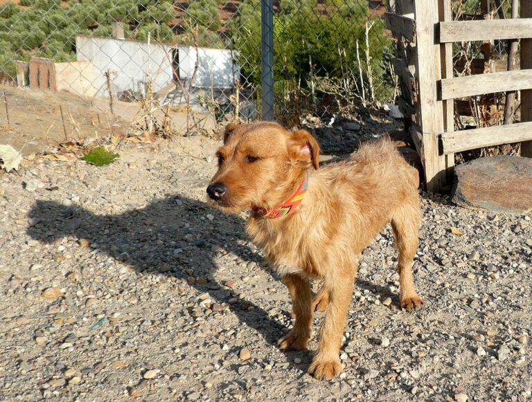 multimedia-foto47613-16-1