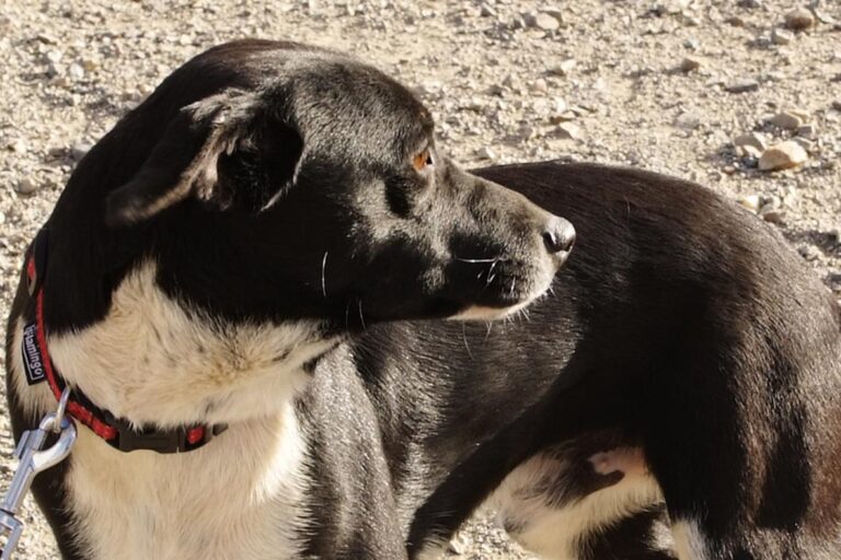 multimedia-foto47628-635-1