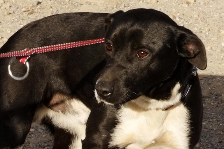 multimedia-foto47629-635-1