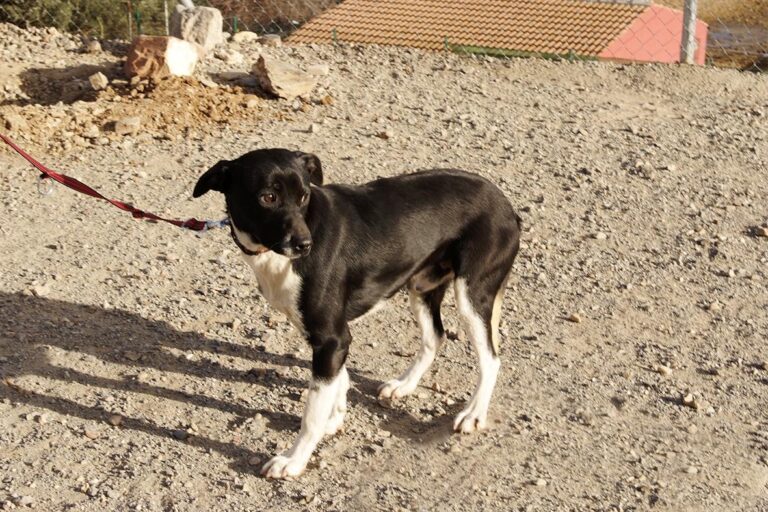 multimedia-foto47630-635-1