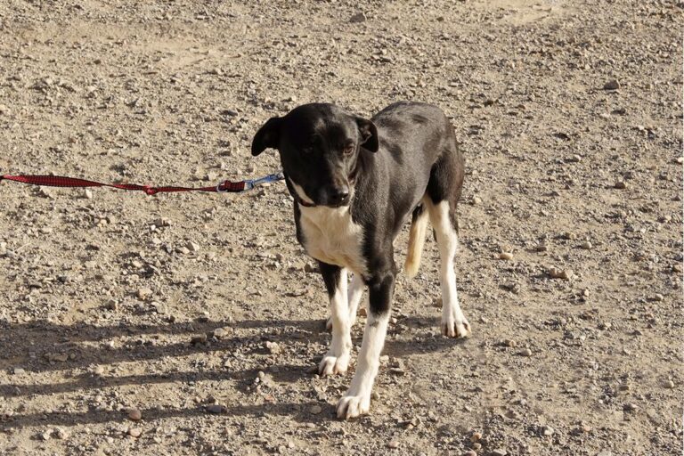 multimedia-foto47631-636-1