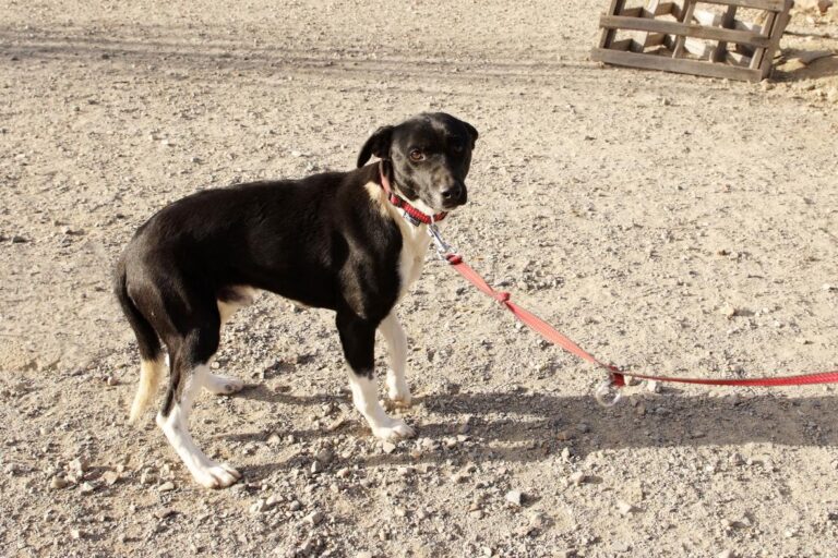 multimedia-foto47632-636-1