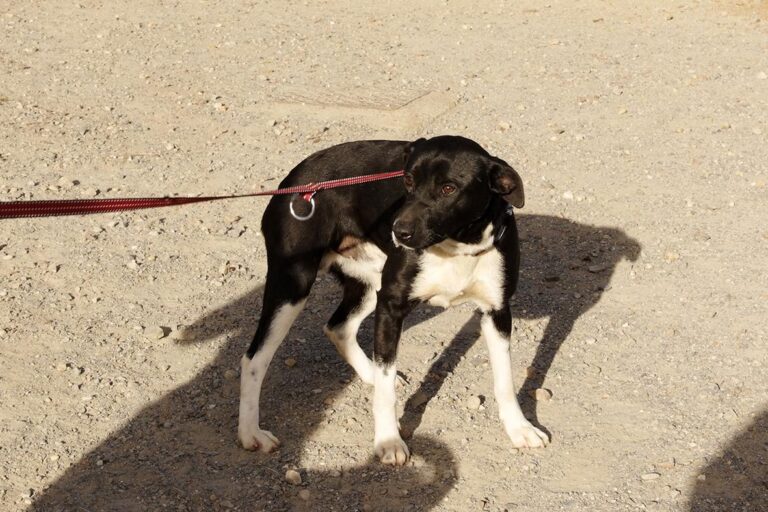 multimedia-foto47633-636-1