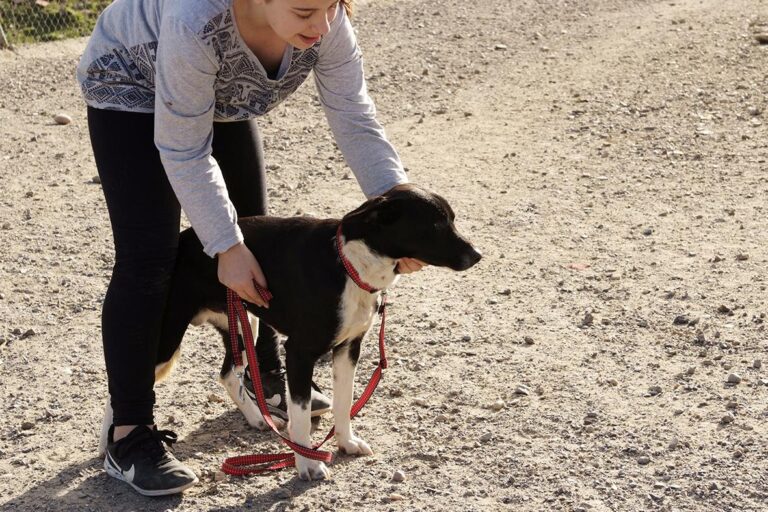 multimedia-foto47634-667-1