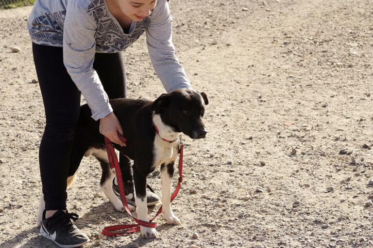 multimedia-foto47635-667-1