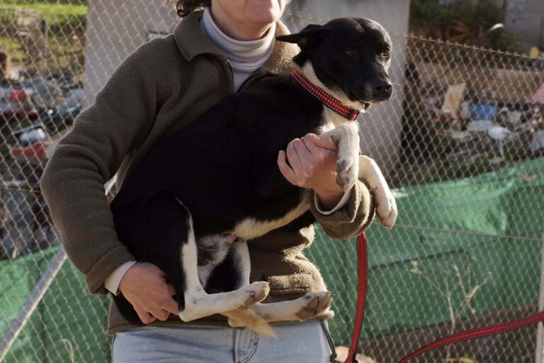 multimedia-foto47636-668-1