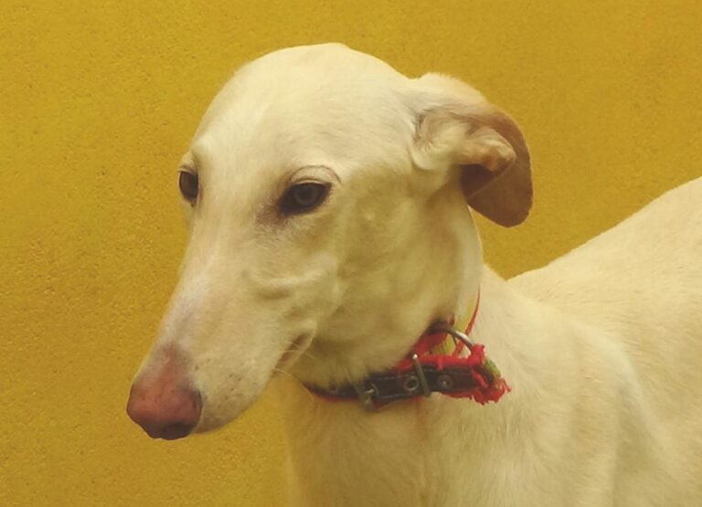 multimedia-foto47696-357-1