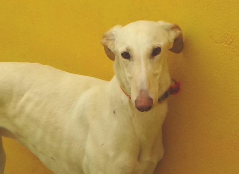 multimedia-foto47698-358-1