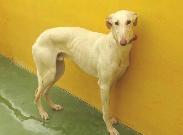 multimedia-foto47700-359-1