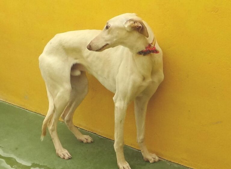 multimedia-foto47701-359-1