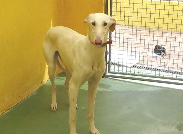 multimedia-foto47702-400-1