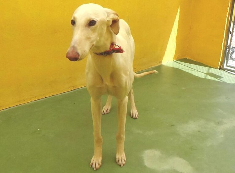 multimedia-foto47703-400-1