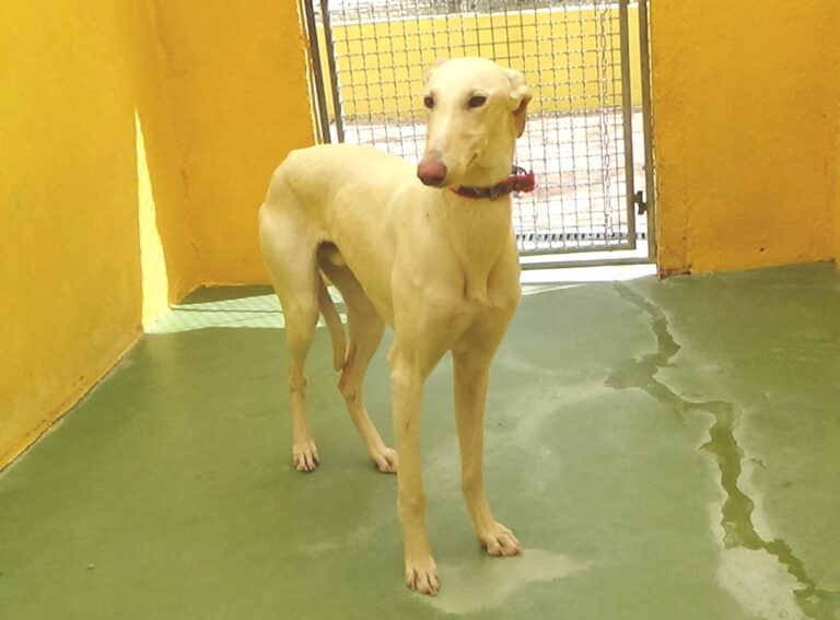 multimedia-foto47704-400-1