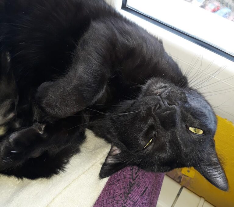 multimedia-foto47709-406-1