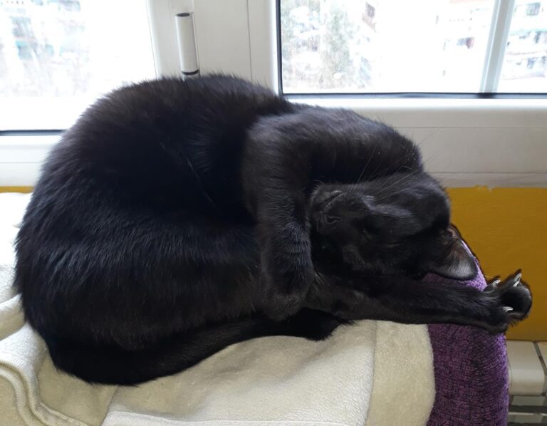 multimedia-foto47711-406-1