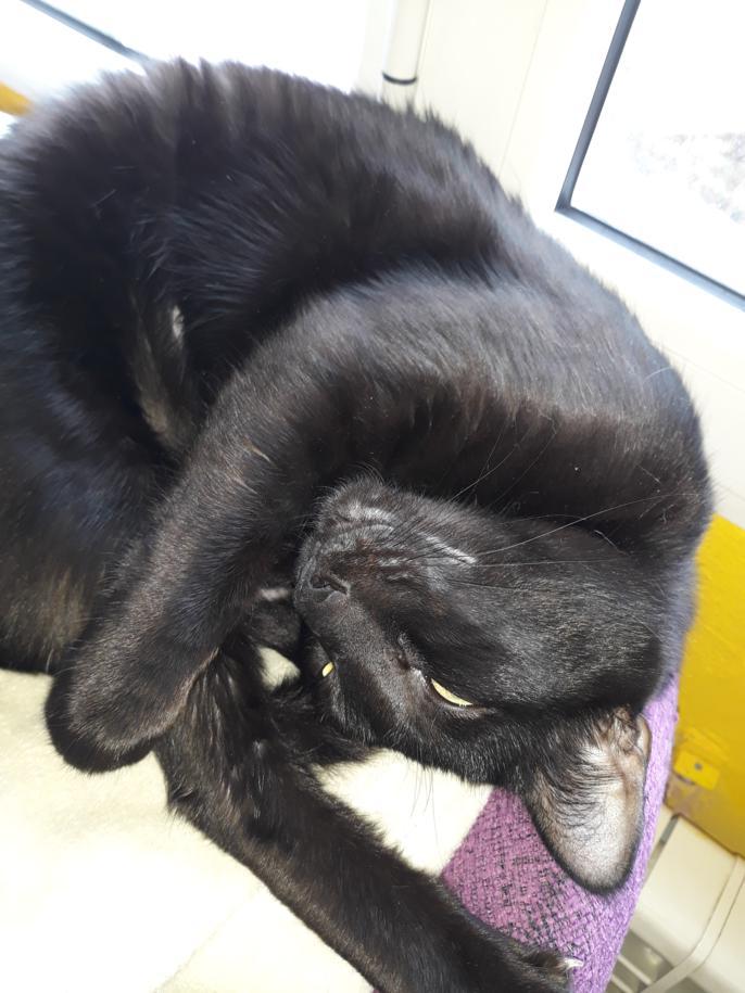 multimedia-foto47712-406-1