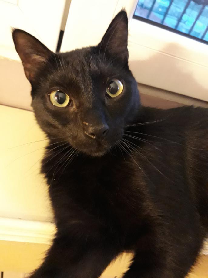 multimedia-foto47713-407-1