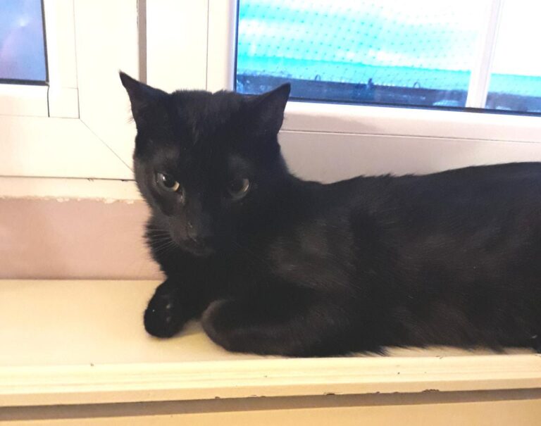 multimedia-foto47714-407-1