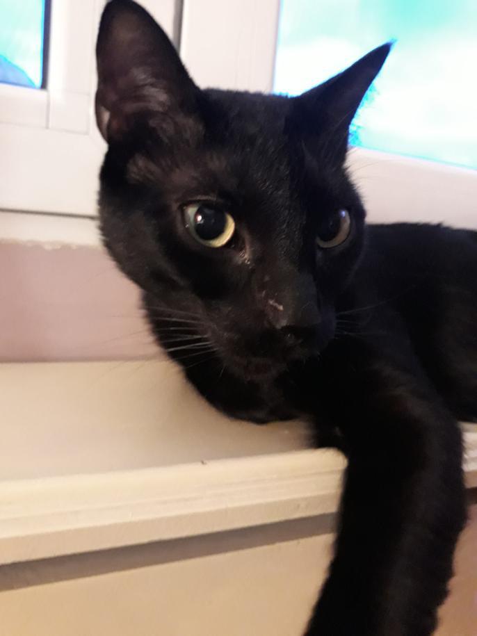 multimedia-foto47715-424-1