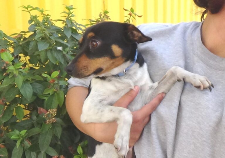 multimedia-foto47717-86-1