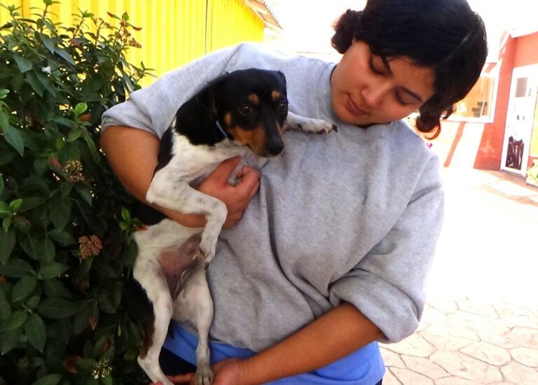 multimedia-foto47718-87-1