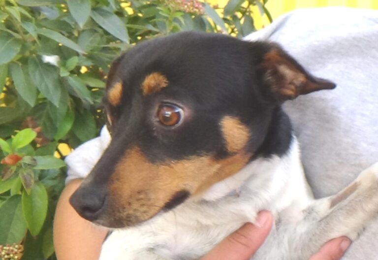 multimedia-foto47719-87-1