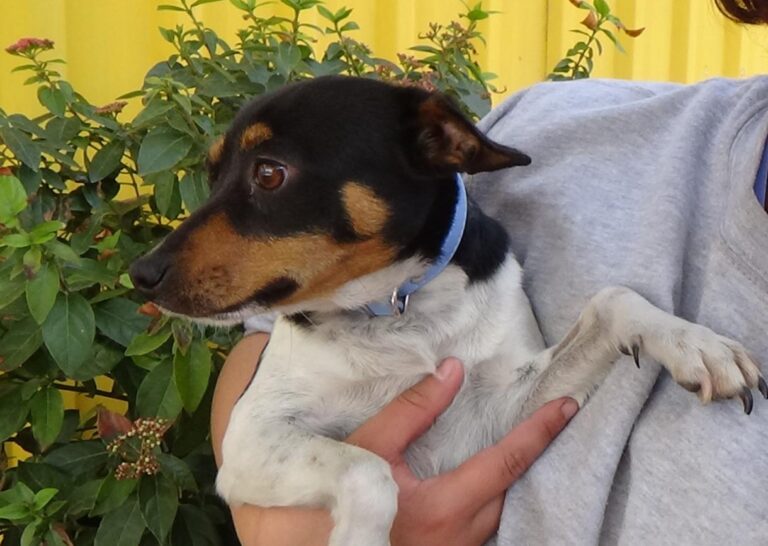 multimedia-foto47720-87-1