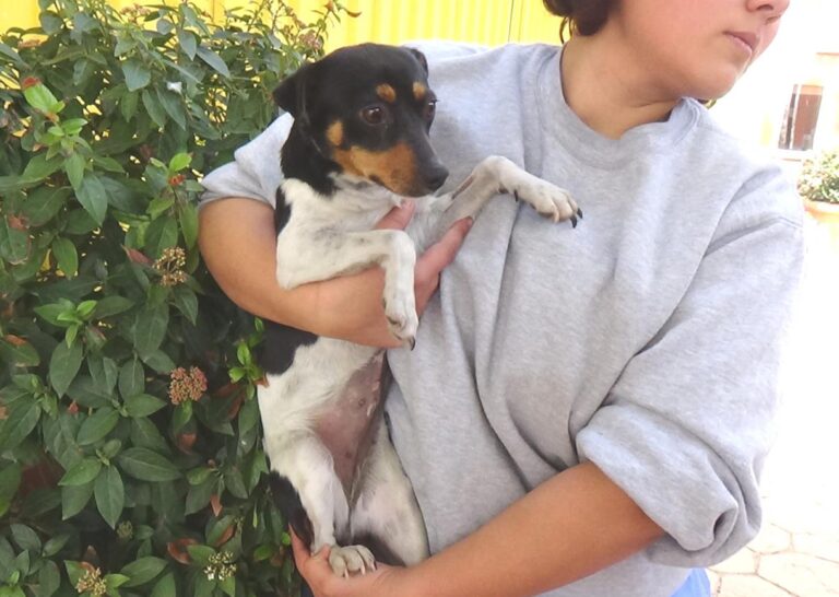 multimedia-foto47721-87-1