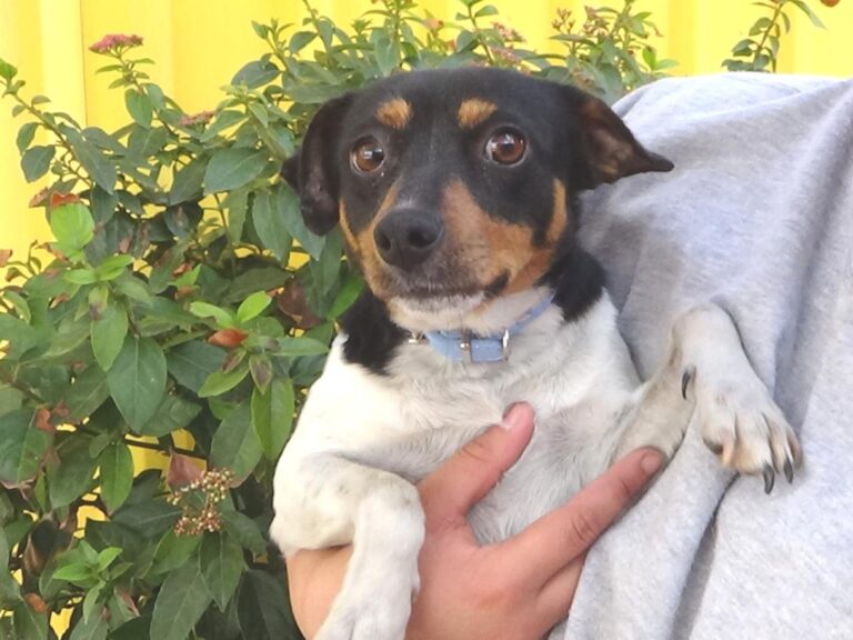 multimedia-foto47722-88-1