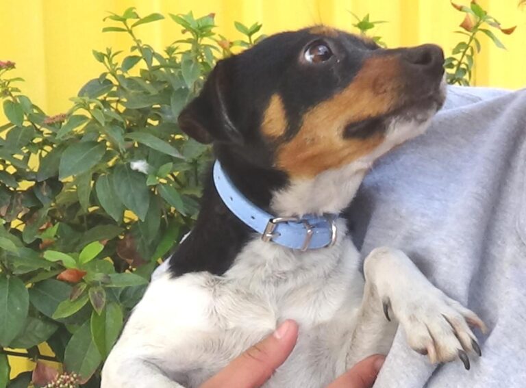 multimedia-foto47723-88-1