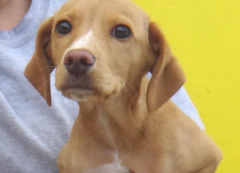 multimedia-foto47734-877-1