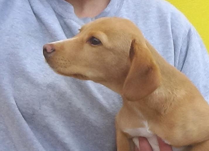 multimedia-foto47735-877-1