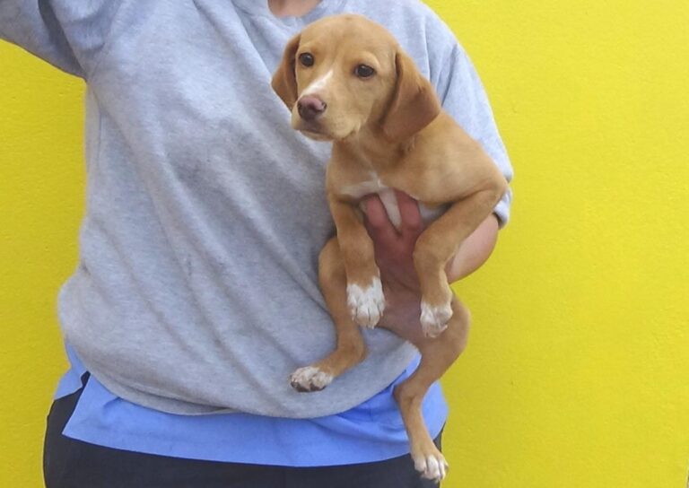 multimedia-foto47736-877-1