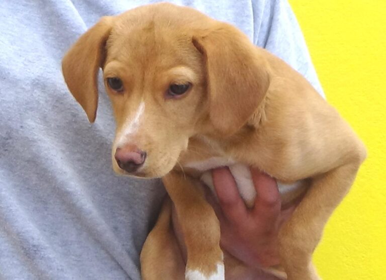 multimedia-foto47737-878-1