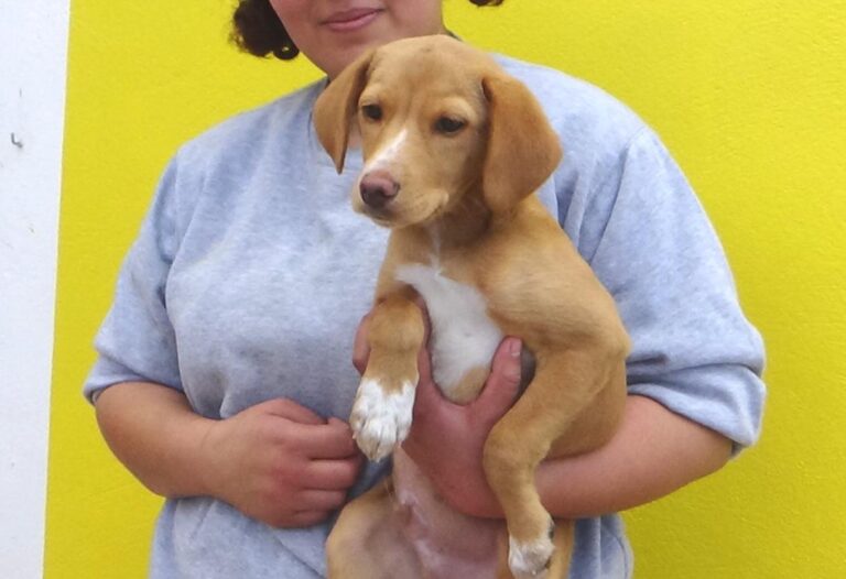 multimedia-foto47738-878-1